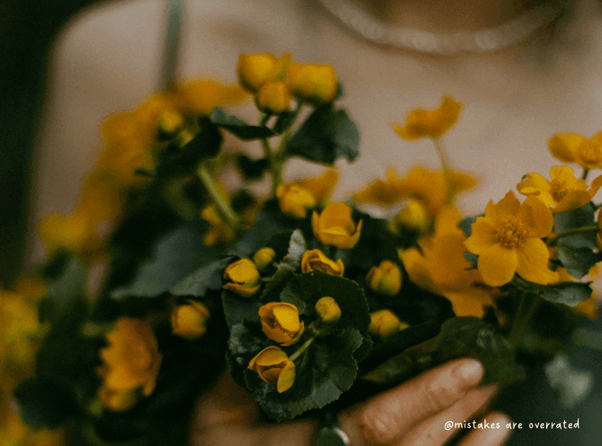 healing loneliness after trauma - canva image