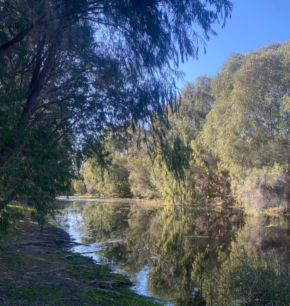 a scenic picture of a lake and trees