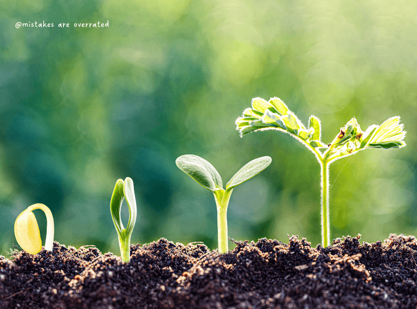 stages of a plant growing depicting the stages of healing in humans