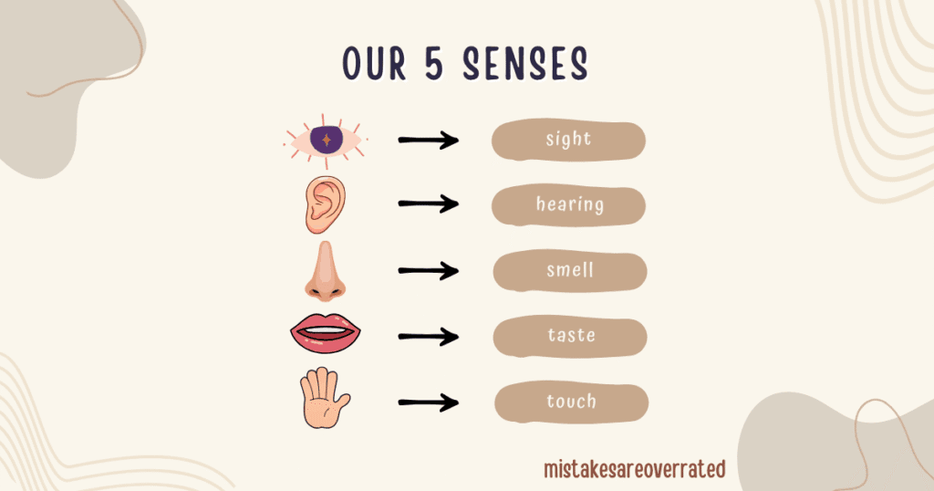 our five senses.
sight,
hearing,
smell,
taste,
touch