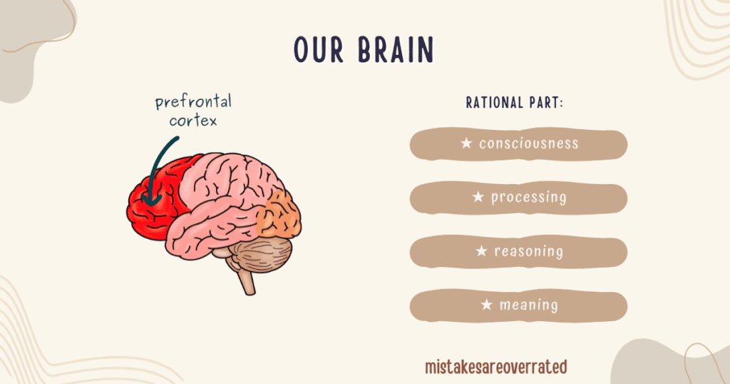 our rational brain.
prefrontal cortex.
consciousness,
processing,
reasoning,
meaning